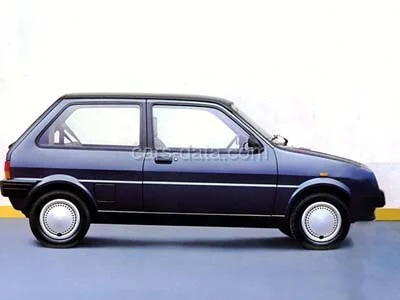 Austin Metro 1000 1981 front view
