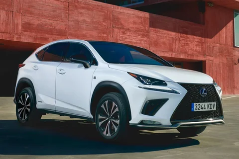 Lexus NX 300h AWD Luxury Edition 2020 view 5