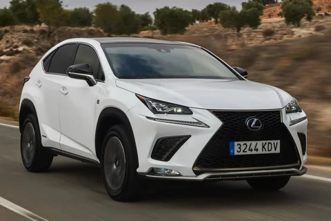 Lexus NX 300h AWD Luxury Edition 2020 view 6
