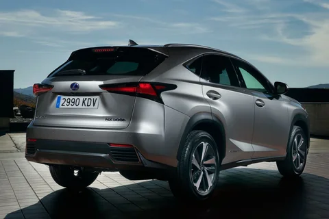 Lexus NX 300h AWD Luxury Edition 2020 view 10