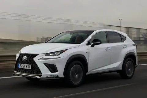 Lexus NX 300h AWD Luxury Edition 2020 view 11